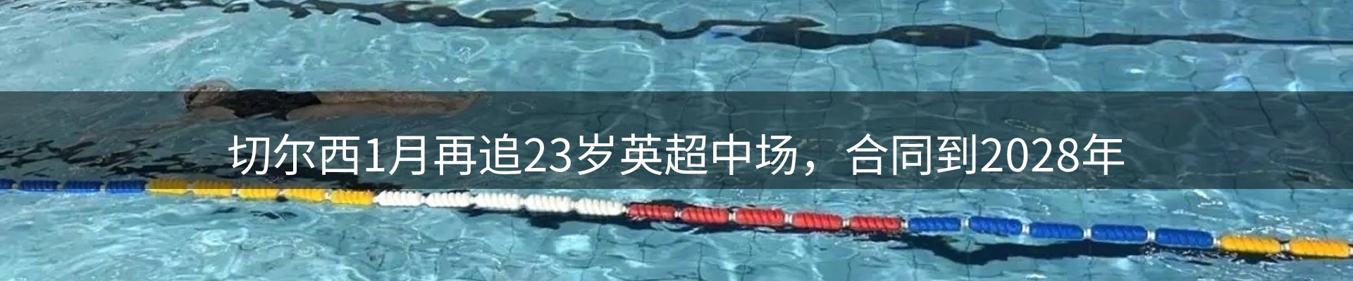 资讯评述