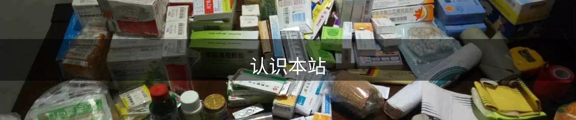 认识本站